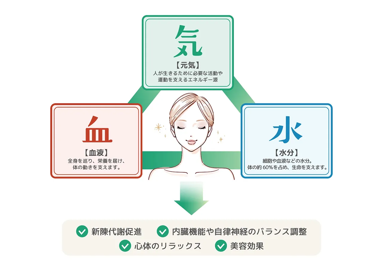 東洋医学のメカニズム