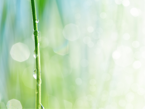 ハリナチュレのコンセプトイメージ写真